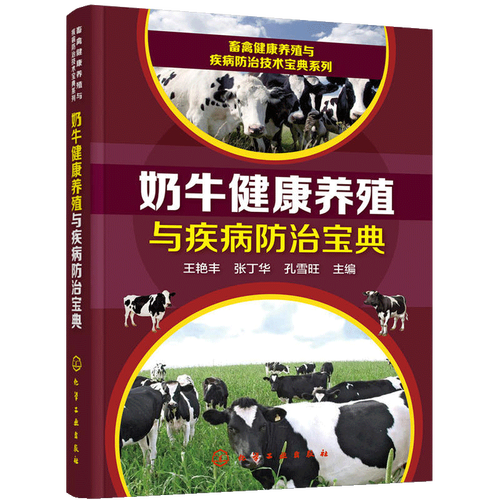 自学养奶牛 奶牛养殖技术教程 奶牛疾病与治疗 奶牛选种与繁育图书籍